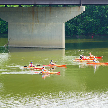 Group canoeing on the river