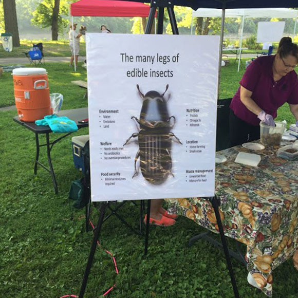 Bug booth at local event
