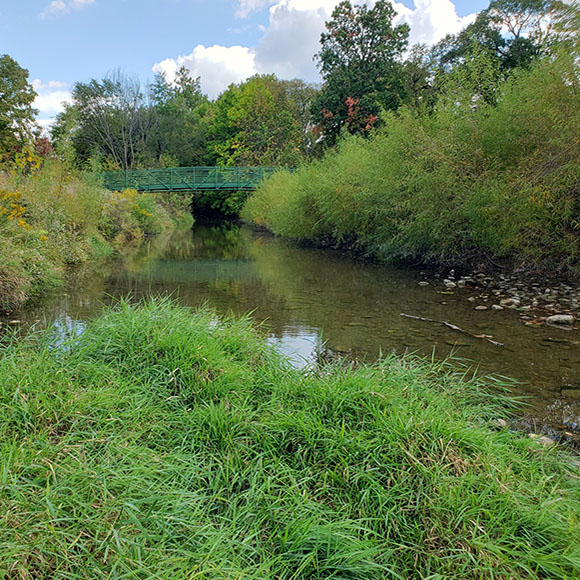 Bean Creek