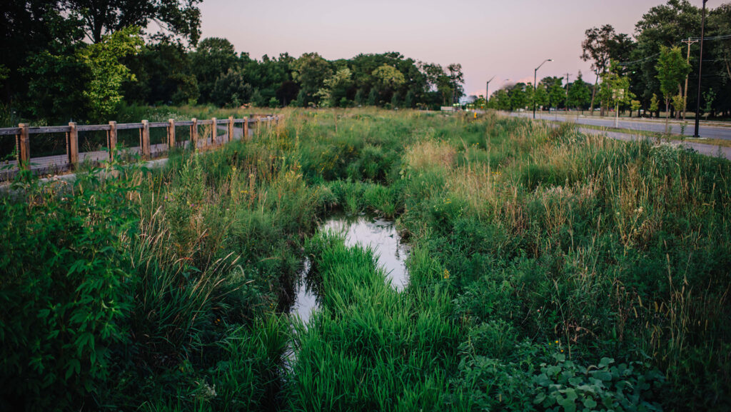 Todd’s Creek Relocation & Mitigation